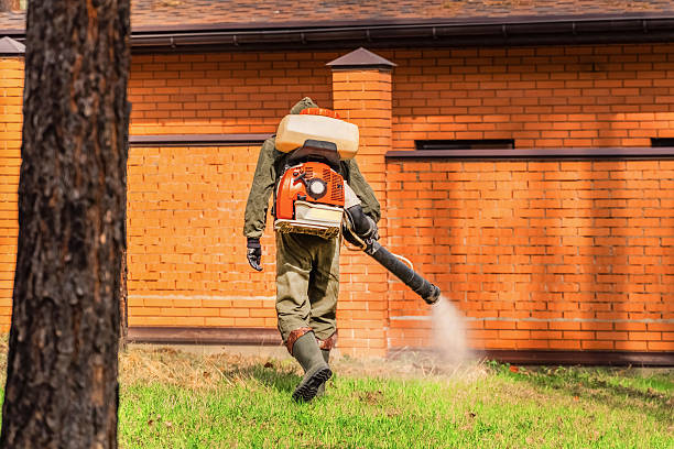 Trusted Fumigation Services service in Sun Prairie, MT - Nex Pest Control